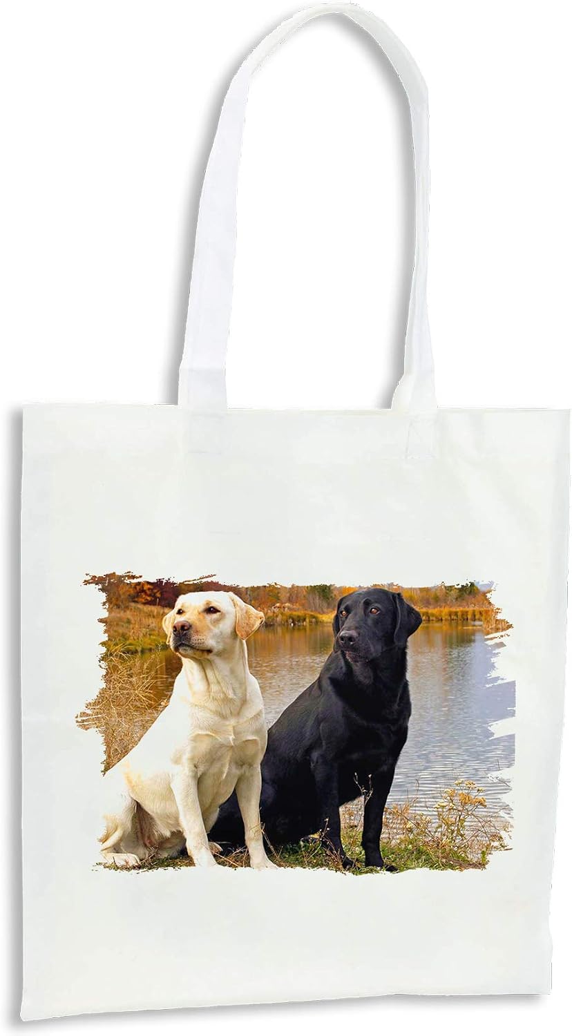 Mi Perro Se Trago Una Bolsa De Plastico