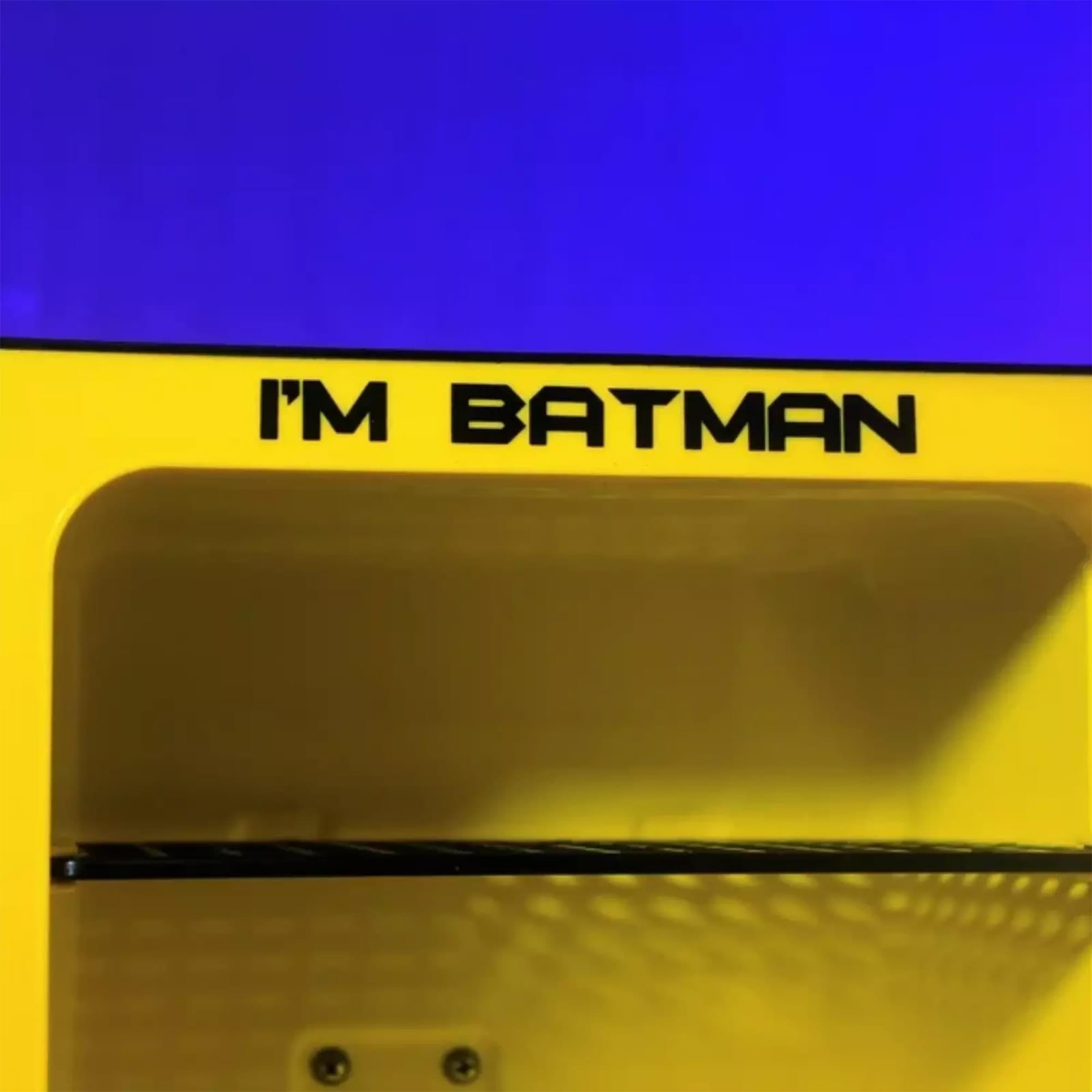 Ukonic DC Comics Batman Logo 6.7L Thermoelectric Cooler | Holds 9 Soda Cans