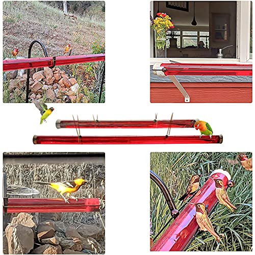 Hummingbird Feeder for Outdoors Hanging, JIDIMI Wild Bird Feeders with Hole, Red Transparent Tube, Easy to Use & Clean, Hummingbird feeders for Window, Patio, Garden, Yard, Deck, Farm (Red, 15.7 in)