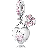 HappyStar 925 Sterling Silver Happy Birthday Bead Charm Love Heart Shape Birthstone Charms for Bracelets Dangle Pendant with 5A Cubic Zirconia Compatible Pandora Bracelets Jewelry Gift for Women