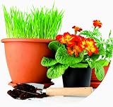 GreenBrokers C1161 20Ltr Organic All Purpose Potting Compost Enriched view 8