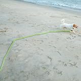 Vivifying Reflective Floating Long Dog Lead 10M 32ft Green with Soft Handle view 8