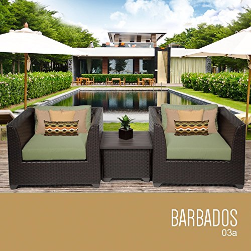 TK Classics 3 Piece Barbados Outdoor Wicker Patio Furniture Set, Cilantro 03a Beachfront Decor