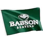 Desert Cactus Babson College BC Flag - 3 x 5 Feet Beavers Banner, Indoor/Outdoor Durable Fabric, 100% Polyester Design (Style 1)