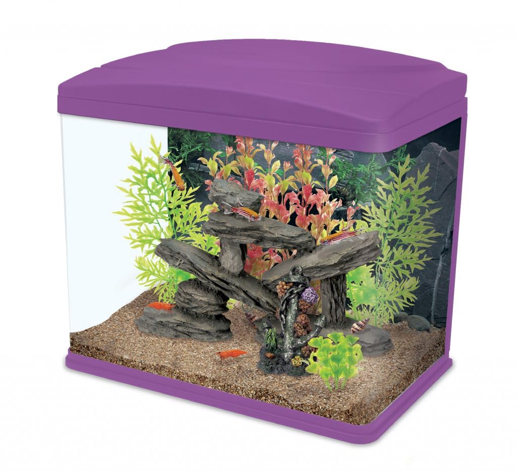 Interpet Fishbox LED Aquarium Fish Tank, 20 L - Pink