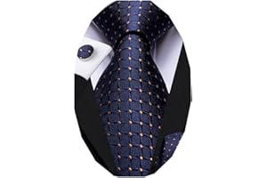 Dubulle Mens Paisley Striped Tie WOVEN Necktie for Men and Handkerchief Cufflinks Set Wedding Formal Business