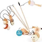 kong active feather teaser cat toy