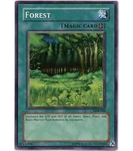 Amazon.com: Yu-Gi-Oh! - Sogen (LOB-049) - Legend of Blue Eyes White Dragon  - Unlimited Edition