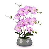 SJC Orchids Artificial Flowers with Gray Vase