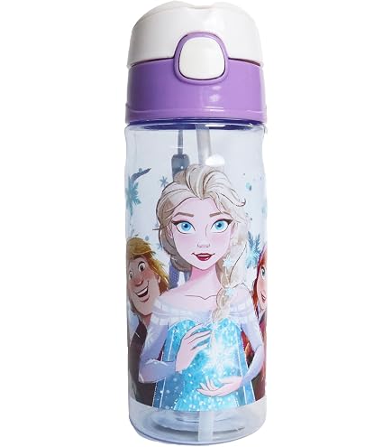 Disney Princess 25oz Water Bottle