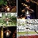 Outdoor Hanging Solar Lantern Light Solar Lamp with Warm White fliament Bulbs for Garden Yard Pathway (Copper)
