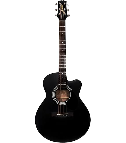 Jasmine アコースティックギター Jasmine by Takamine ジャスミンバイタカミネ S34C NEX Cutaway