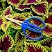 Happy Hydro Trimming Scissors - Straight Tip - 40mm Titanium Blades - Ergonomic Comfort Grip Handles - 1 Pack