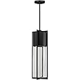 Hinkley Shelter Large Hanging Outdoor Lantern, LED Included, Aluminum, Clear Seedy Glass Shade, Dark Sky Compliant, Black Fin