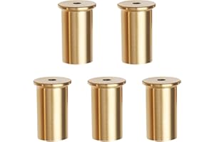 Be In Your Mind 5pcs Golf Club Weight Head Brass Shaft Tip Weights Weight Head Accessories Suitable for Steel Wood Steel Iron Shafts (2/4/6/8/10g)