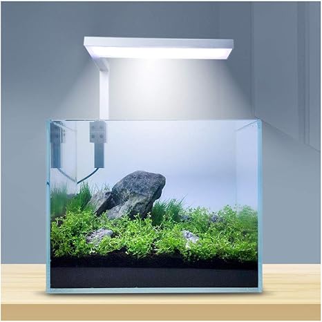 Amazon Co Jp 調節可能 水槽ライト Led フィッシュタンクライト 水槽 クリップライト 水槽 ランプバー コーラル用 植え ナノ 水槽 白 18w ホーム キッチン