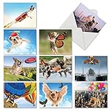 M6448TYG The Flying K9: 10 Assorted Thank You Note Cards Featuring a Variety of Dog Breeds Enjoying Flights of Fancy, w/White Envelopes.