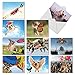 M6448TYG The Flying K9: 10 Assorted Thank You Note Cards Featuring a Variety of Dog Breeds Enjoying Flights of Fancy, w/White Envelopes.