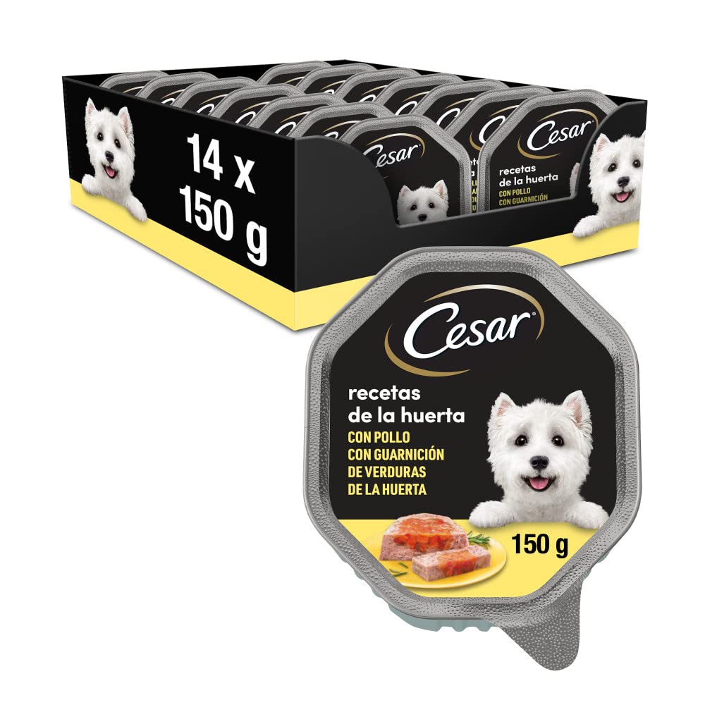 Cesar Wet Food for Dogs, Garden Recipes in Pate and Gelatin (Pack of 14 Tubs x 150g)