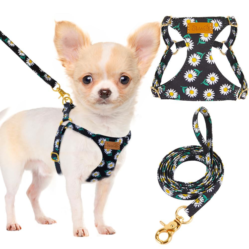 Eyein Small Dog Harness & Lead Set - Lightweight Adjustable Soft Daisy Pattern Vest, No Pull Escape Proof Breathable for Medium Dogs Cats With Easy Fit Design (M)