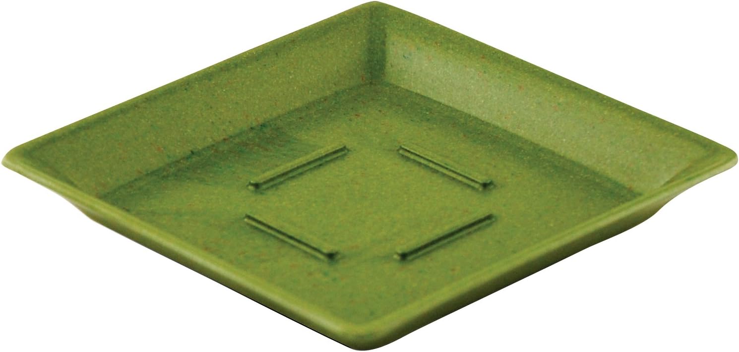 Square Saucer Planter [Set of 6] Color: Grass
