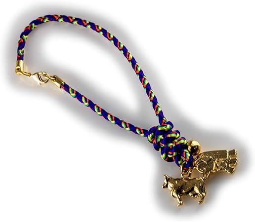 Amazon Co Jp 開運干支 お守り 根付け 21年 令和3年 干支 丑 とアマビエ 24金メッキ 宝来鈴付き Pp袋入り 2 3 十二支 牛 ストラップ 縁起物 厄除け 御守 招福 除災 根付け紐の色 青 1個 おもちゃ