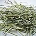 Carefresh Timothy Hay Pet Diet