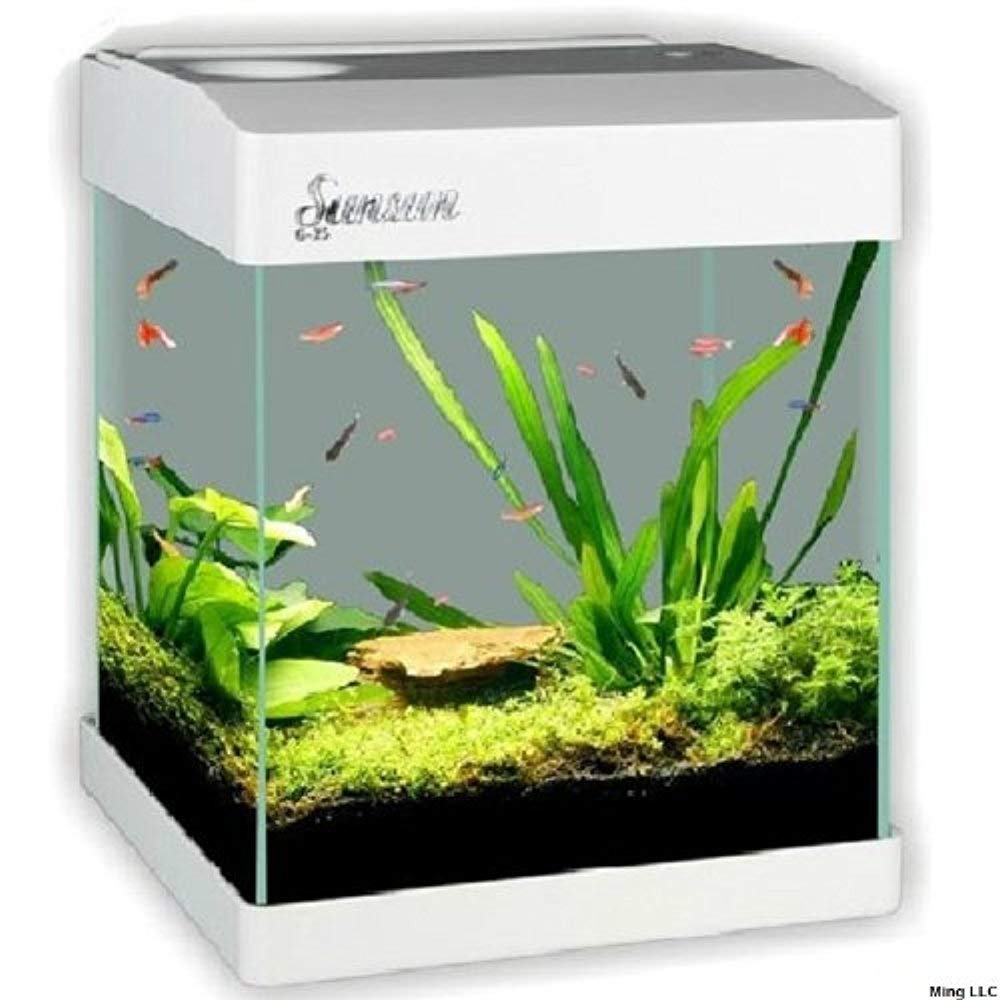 SunSun G25 Nano Aquarium Kit, 4.2Gallon, White Amazon.in Pet Supplies
