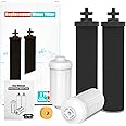Gunneran Berkey Gravity Water Filter Replacement, 2 Black Carbon Filters & 2 White Fluoride Filters, Compatible with Berkey Purifiers, Pack of 4