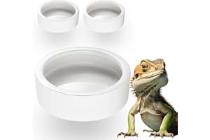 Worm Dish 2-Pack Ceramic Reptile Food Dish Bowl 3.93 Inch, Anti-Escape Feeder for Lizard Gecko Chameleon, Reptile Water & Foo