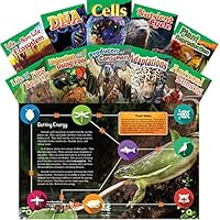 Teacher Created Materials - Science Readers: Content and Literacy: Let