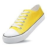 Unisex Low Top Lace Up Casual Canvas Shoes for