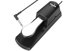 SKAEHP Piano Sustain Pedal, Universal Keyboard Foot Sustain Pedal for Yamaha, Roland, Casio, Korg Behringer Digital Pianos MIDI Keyboard Electronic Keyboards 1/4 Inch Jack (Sliver)