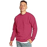 Hanes Men's EcoSmart Sweatshirt