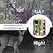 Vizzlema Trail Camera-12MP Wildlife Hunting amera 65ft Infrare Game Camera Motion Activated 65ft Long Range No Glow Infrared Night Version with 2.4in LCD Screen Waterproof IP65
