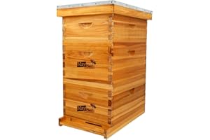 MayBee 8-Frame Langstroth Beehive Dipped in 100% Beeswax, Bee Hive for Beginner, Honey Bee Hives Includes 2 Deep Bee Boxes, 1 Bee Hive Super with Beehive Frames and Foundation (3 Layer)