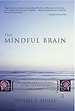 The Mindful Brain: Reflection and Attunement in the Cultivation of Well-Being (Norton Series on Interpersonal Neurobiology Book 0)