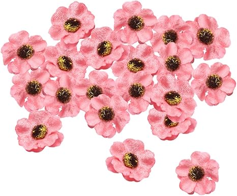 Amazon Co Jp 梅花 パッチ アップリケ花 ワッペン 布花 造花 フェルトフラワー 丈夫 再利用可能 約個 全6選択 スイカの赤 ホーム キッチン