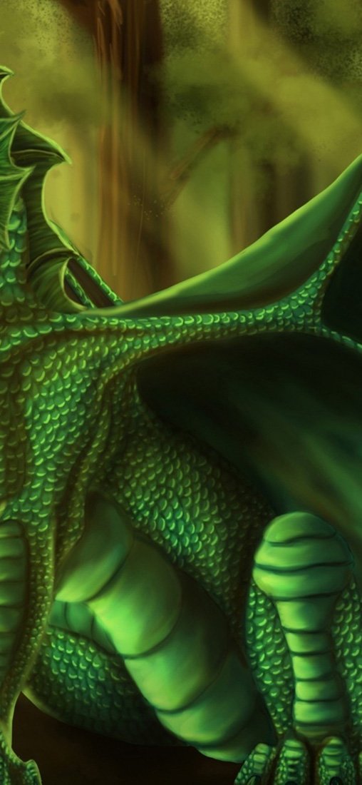 PeelitStickit Dragon, Beautiful Nature Wall Murals, ID-3363, vinyl