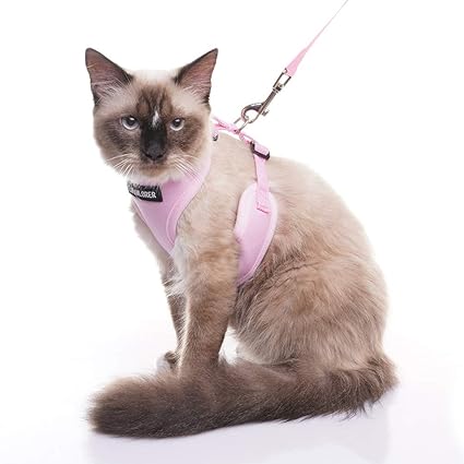 best cat harness amazon