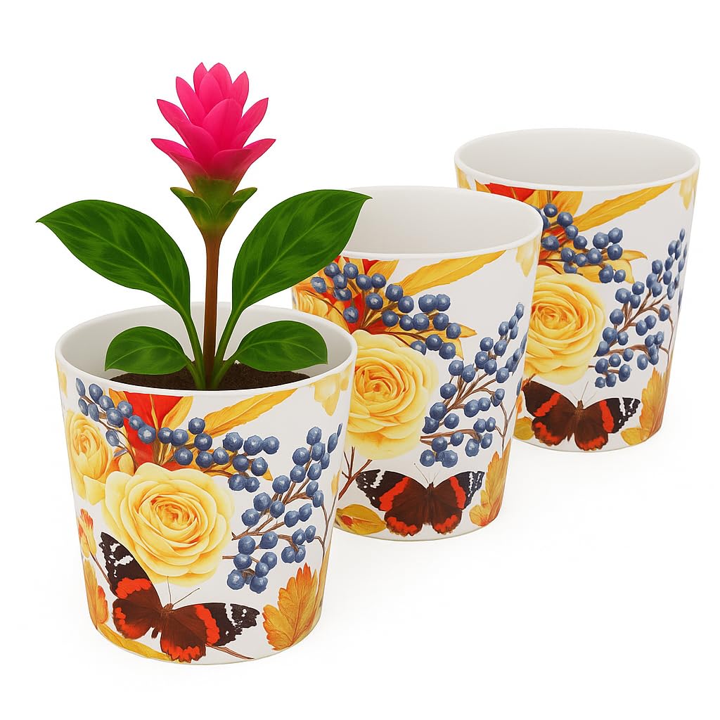 Home Garden Ornaments Indoor Plant Pot – Decorative Flower Pots with Inner Cone, Floral & Tropical Design Orchid Planters for Home Décor (13 cm / 5.1 inch – Butterfly)