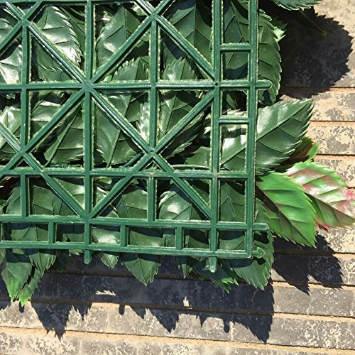 Porpora Artificial Hedge Plant, Greenery Panels Suitable for Both Outdoor or Indoor use, Garden, Backyard and/or Home Decorations, European Holly 20 x 20 Inch (12 pack) by e-Joy - Thumbnail 2