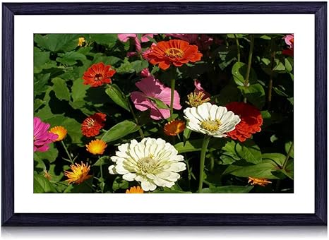 Amazon Co Jp 60cmx40cm 木製の黒色のフォトフレーム ジニアペチュニア花壇緑日当たりの良い 壁掛け 壁飾り 壁ポスター おしゃれ ウォールアート アートパネル 壁の絵 インテリア絵画 額縁 部屋飾り 装飾画 ホーム キッチン