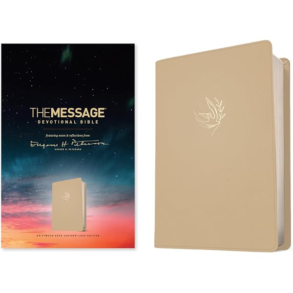 The Message Women's Devotional Bible (Leather-Look, Terracotta
