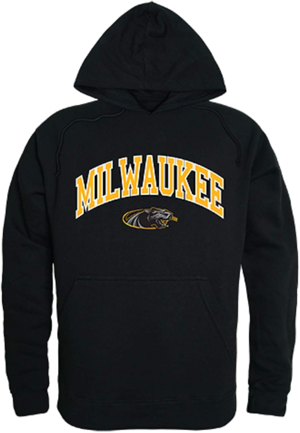 university of wisconsin sweatshirt