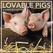 2018 Lovable Pigs Wall Calendar (Landmark) by 