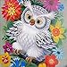 Bokeley 5D Home Decoration, Diamond Embroidery Paintings Wall Sticker Cat Animals Counted Cross Stitch Kit (H)