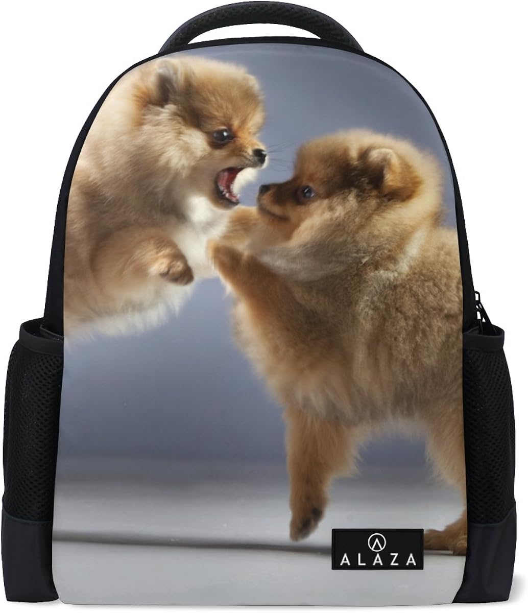 pomeranian in bag
