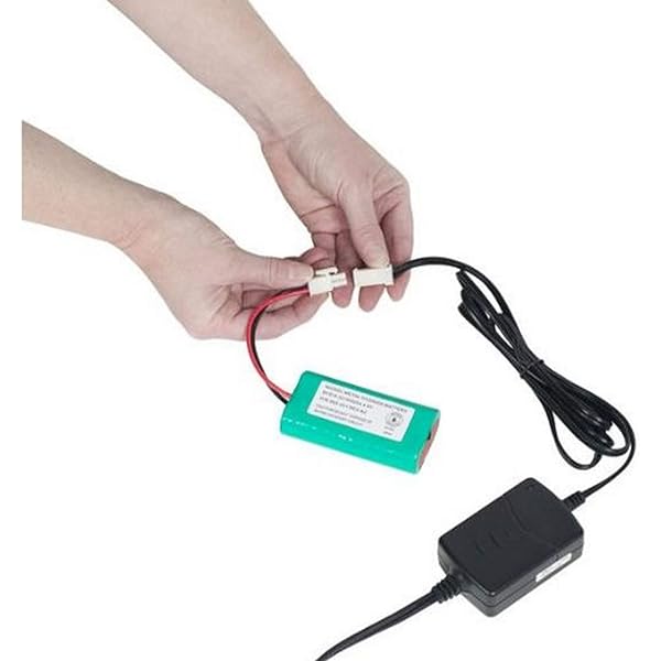 Amazon.com: HQRP Battery works with Mosquito Magnet MM565021 