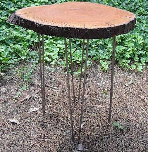 Accent or Side Table Cherry Tree Trunk with Hairpin Steel Legs and Lacquer Finish